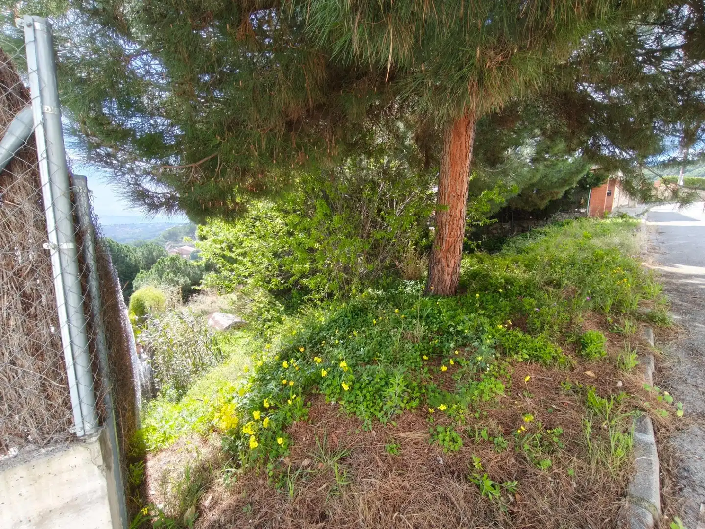 Terrain rustique à vendre à Carrer de Narcís Monturiol, imagen 4