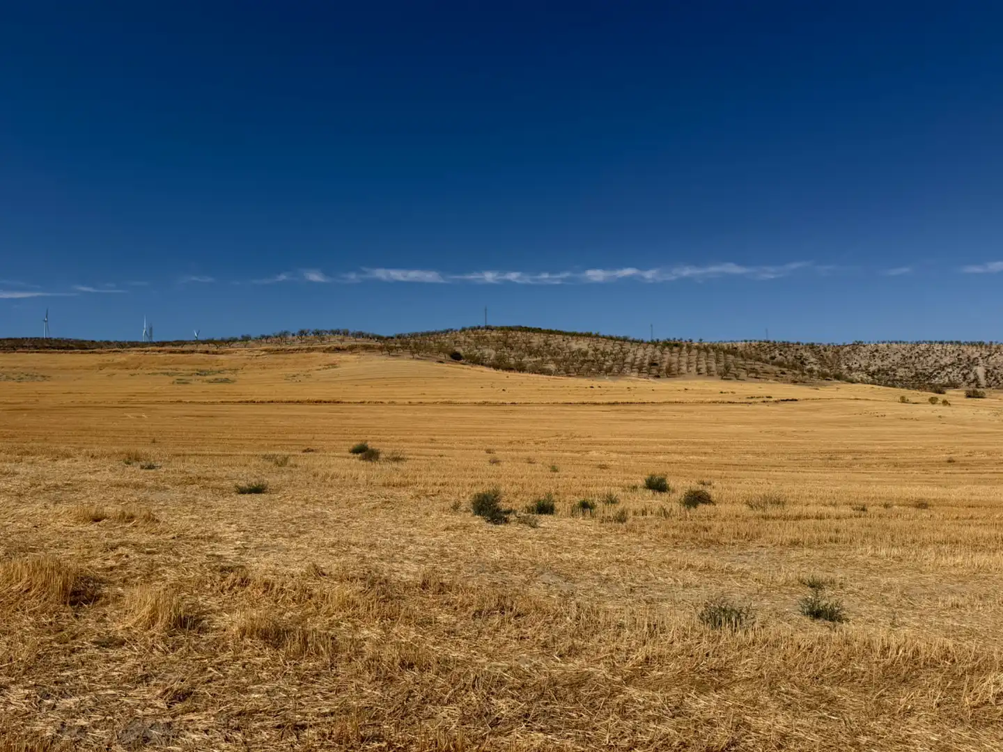 Terreno rustico in vendita a Camino de Alhendín, imagen 7