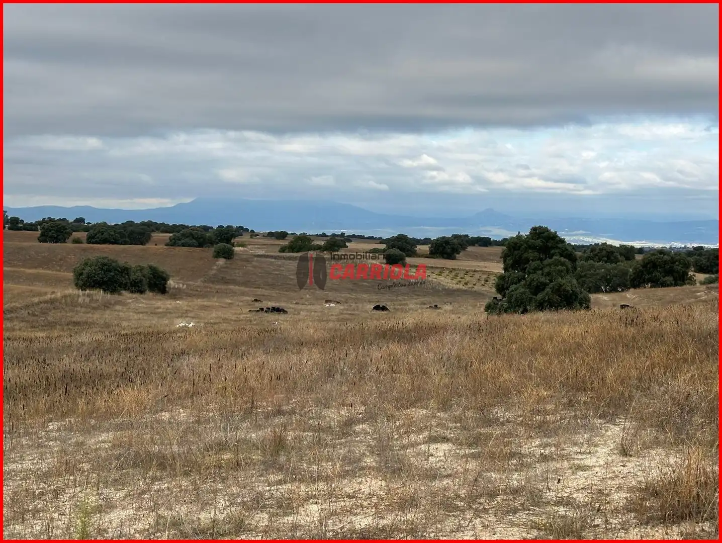 Terrain rustique à vendre à Méntrida, imagen 8