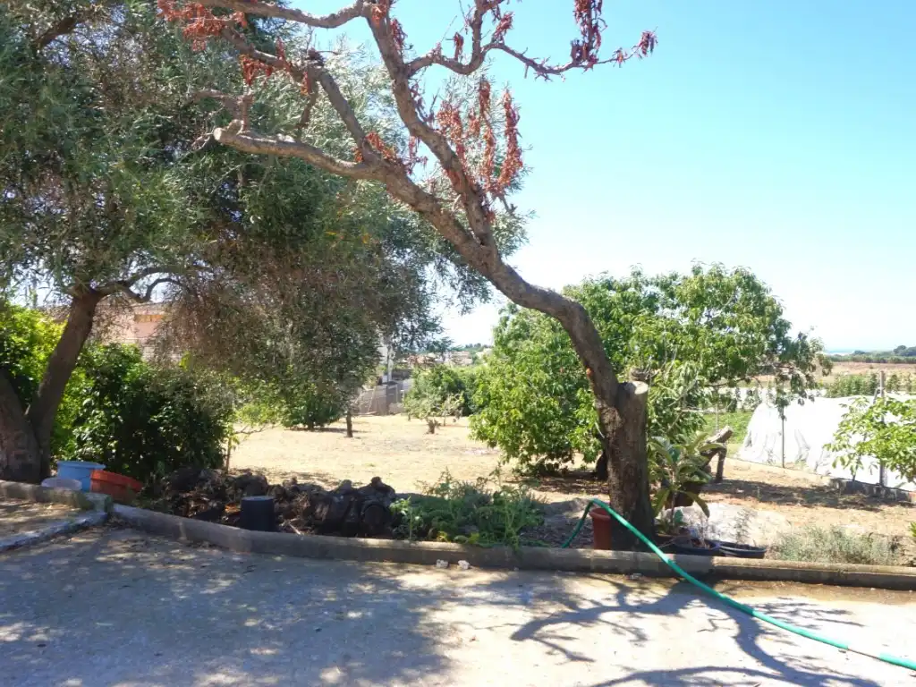 Houses for sale in Pineda de Mar