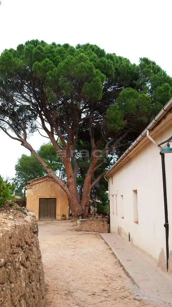 Appartamento con giardino in vendita a Partida Cotes Altes, imagen 7