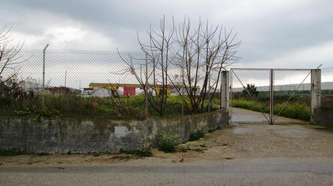 Photo 3 of Industrial buildings for sale in Las Palmeras - Dehesilla, Cádiz