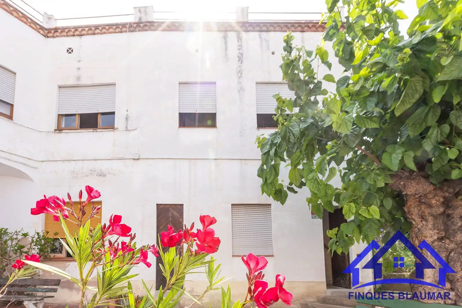 Vista exterior de Finca rústica en venda en Arenys de Mar amb Calefacció, Jardí privat i Terrassa