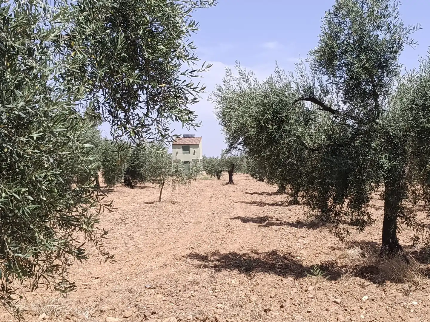 Finca rústica en venda a Cristina
