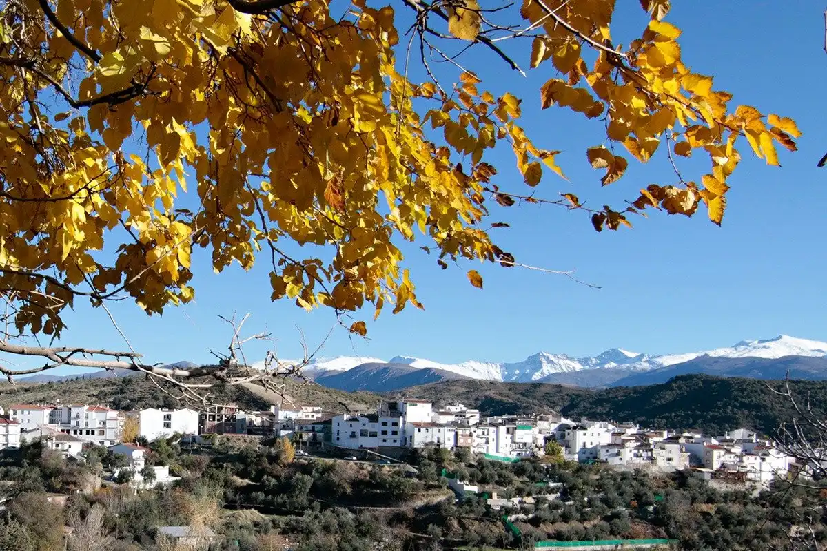 Casa rústica amb terrassa en venda a Calle LAS PIEDRAS, imagen 4