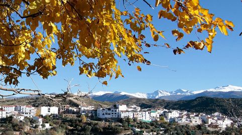 Foto 4 de Finca rústica en venta en Calle las Piedras, Huétor de Santillán, Granada