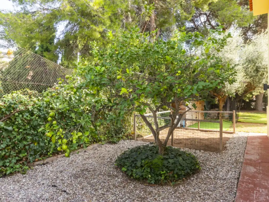 Garden of Houses for sale in Benicasim Golf