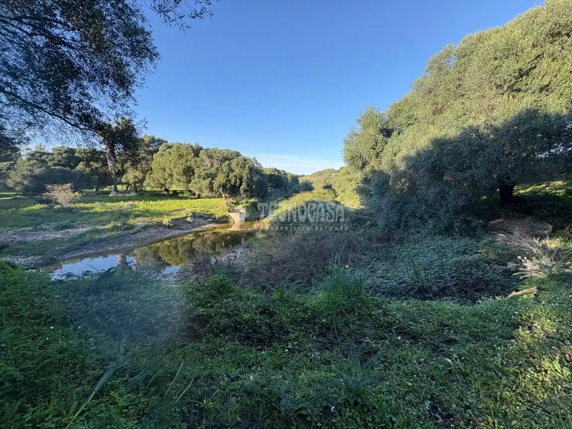 Terreno en venta en Barbate