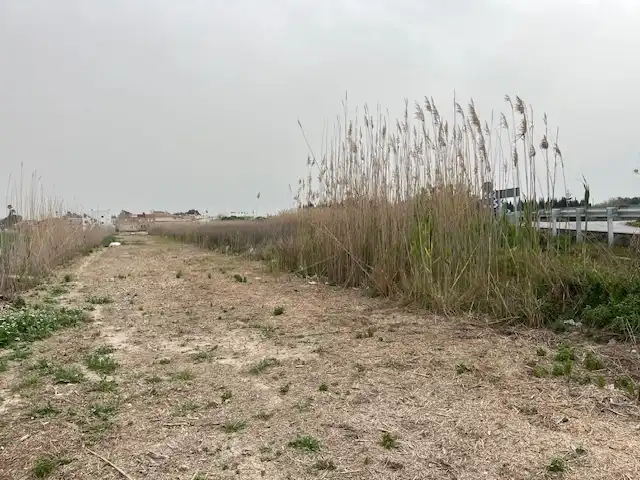 Terreni e lotti in vendita a El saladar, imagen 3