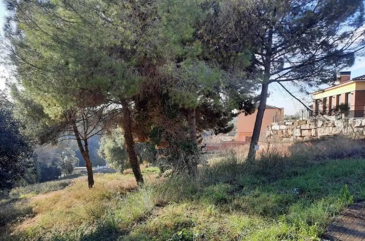 Terreny residencial en venda a Comapedrosa, imagen 4