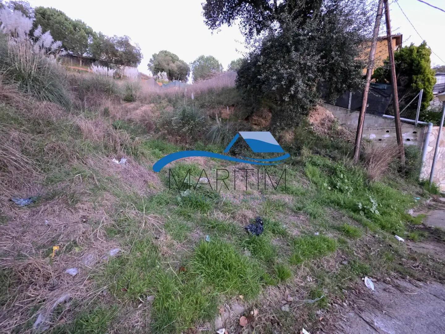 Terrenos y solares en venta en Sensitiva, imagen 4