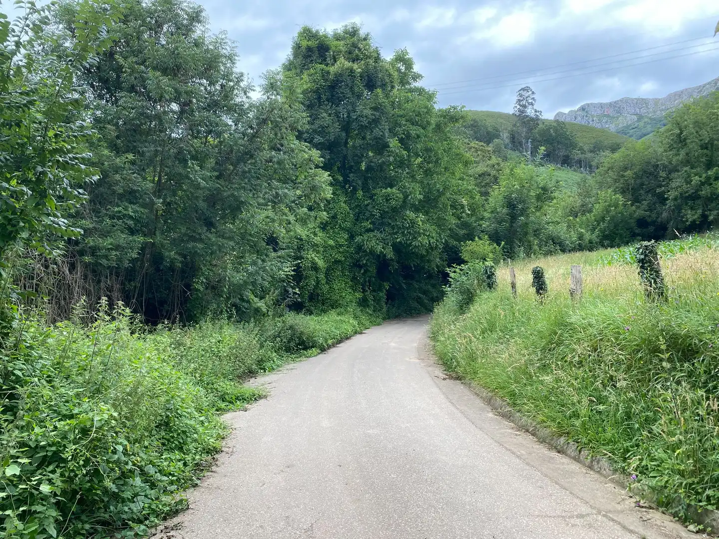 Terreni e lotti in vendita a Cangas de Onís, imagen 14