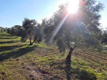 Terreno residencial en venta en Jauja