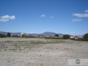 Terreni e lotti in vendita a Pedanías Sur