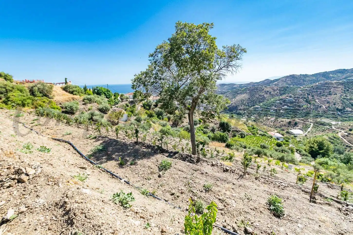 Rustikales Grundstück zum Verkauf in Torrox Pueblo, imagen 2