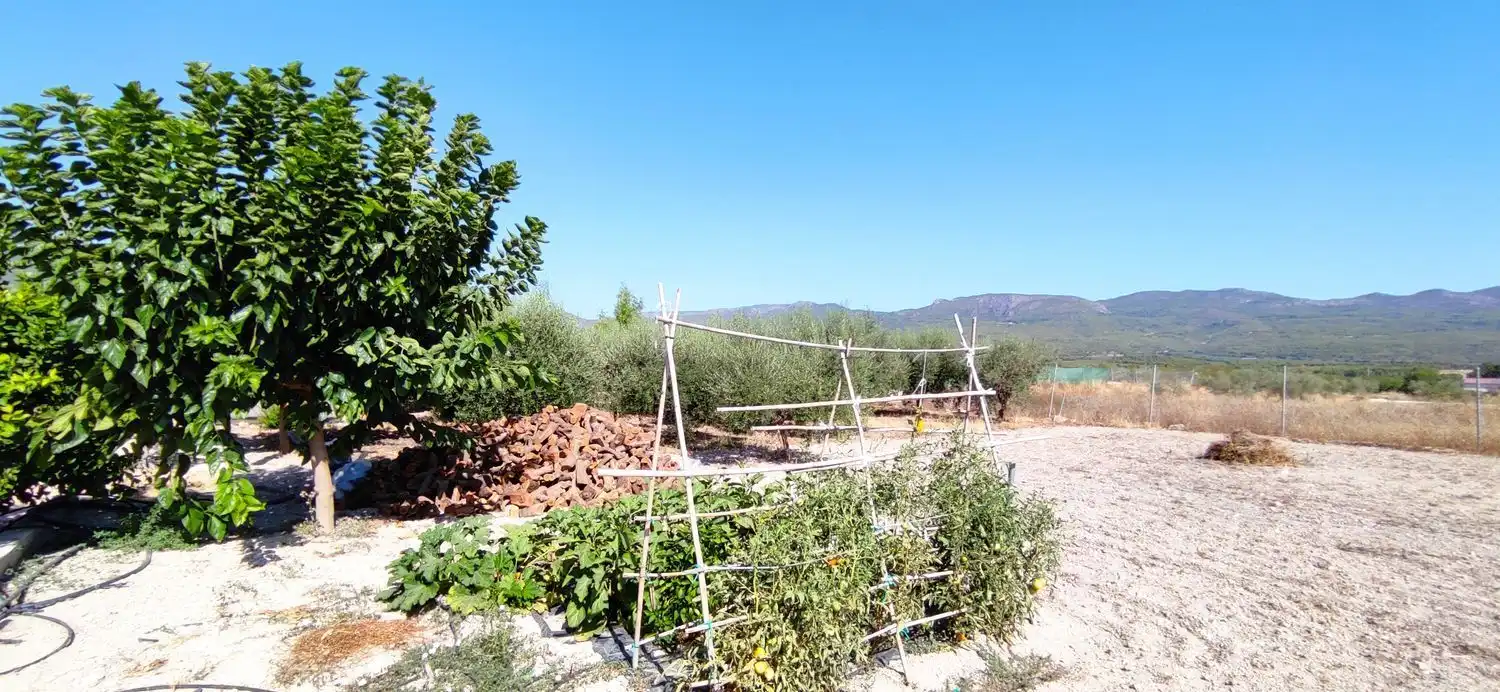 Chalet con piscina en venta en Moratalla, imagen 53