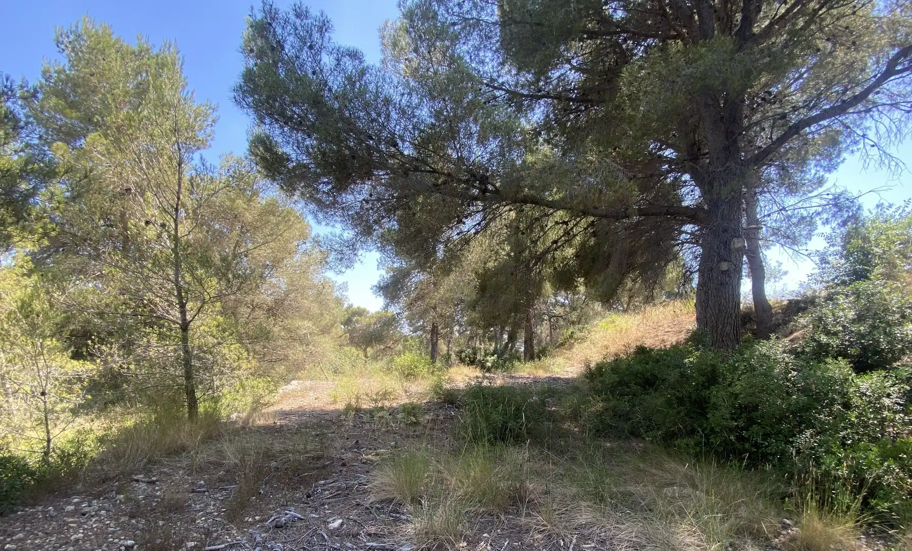 Residential land for sale in Urbanitzacions de Llevant, imagen 21