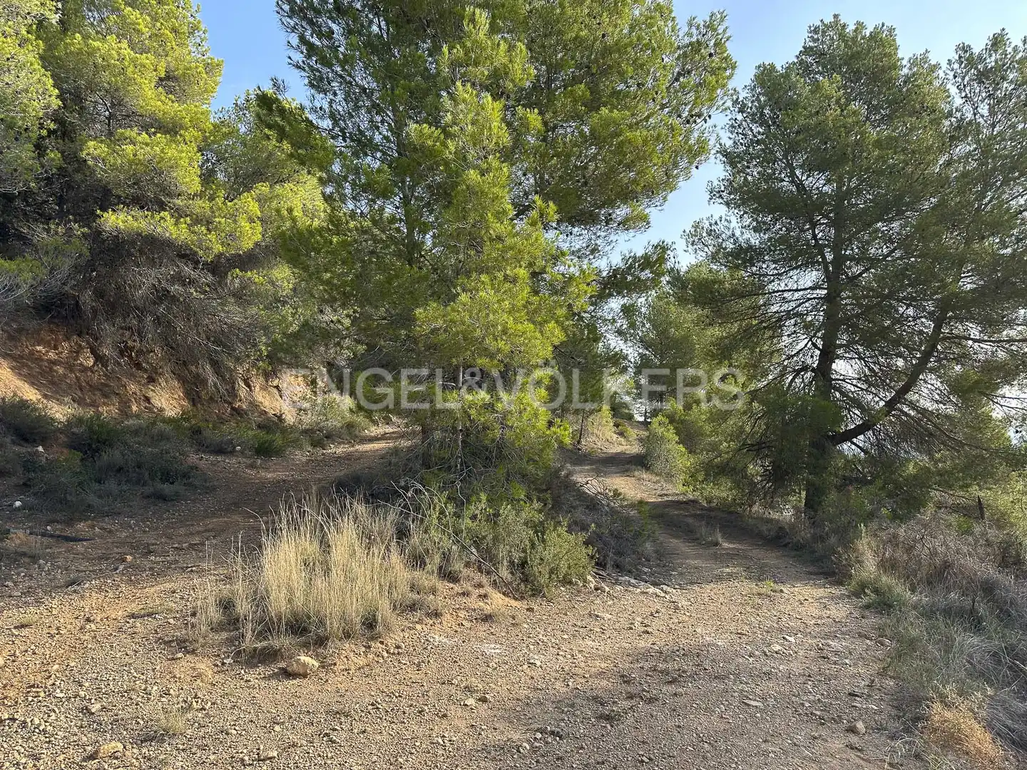 Residential land for sale in Torrelles de Foix, imagen 23