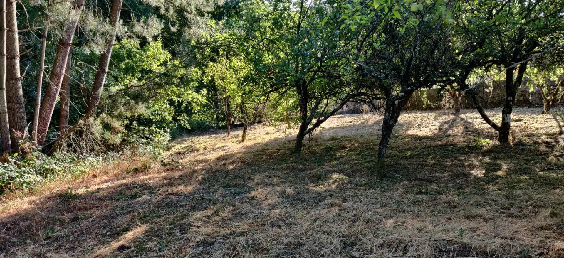 Terreni e lotti in vendita a Chantada, imagen 10
