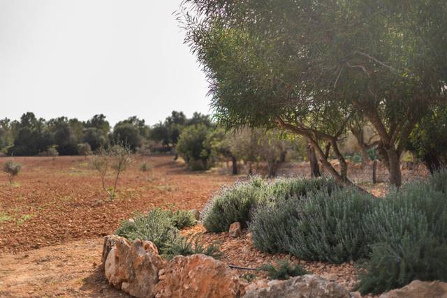 Finca rústica en Venta en Zona Rústica - Interior