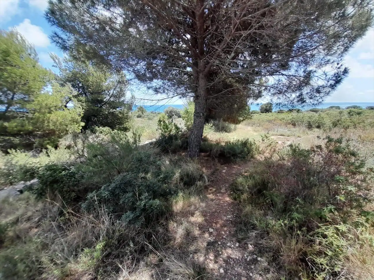 Residential land for sale in FONT NOVA, imagen 6