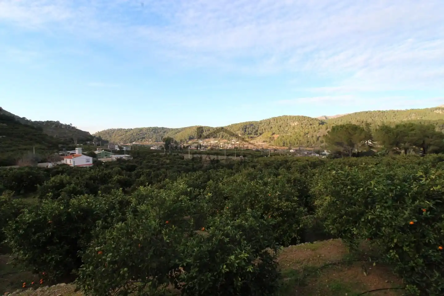 Terrenos y solares en venta en barranc del salt, imagen 13