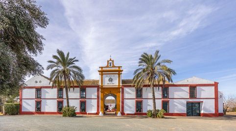 Photo 4 of Country homes for sale in Diseminados 2, Carmona, Sevilla