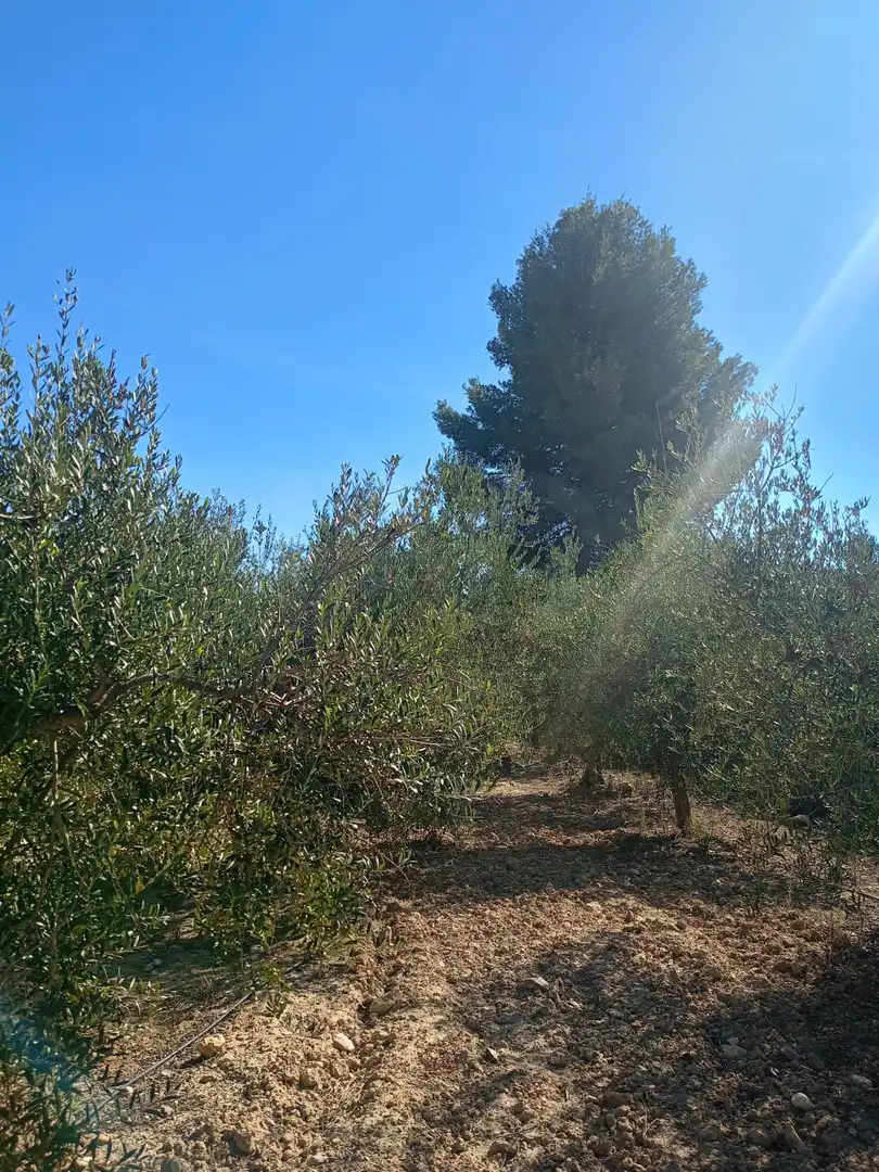 Residencial en venda en Lorca