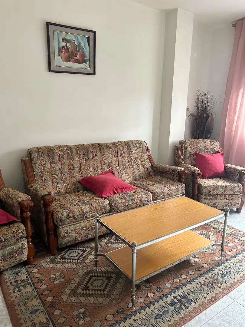 Sala de estar de Piso de alquiler en Santiago de Compostela  con Amueblado