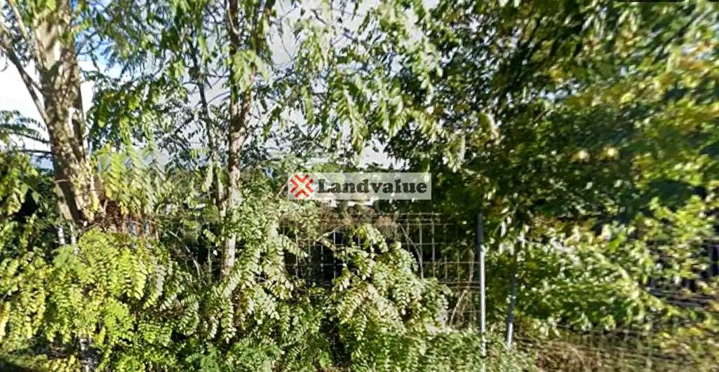 Lands and plots for sale in XAMPINYO Nº 45 PARCELA 407, imagen 3