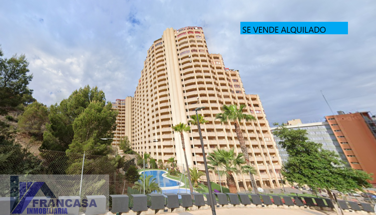 Vista exterior de Pis en venda en Benidorm amb Piscina comunitària