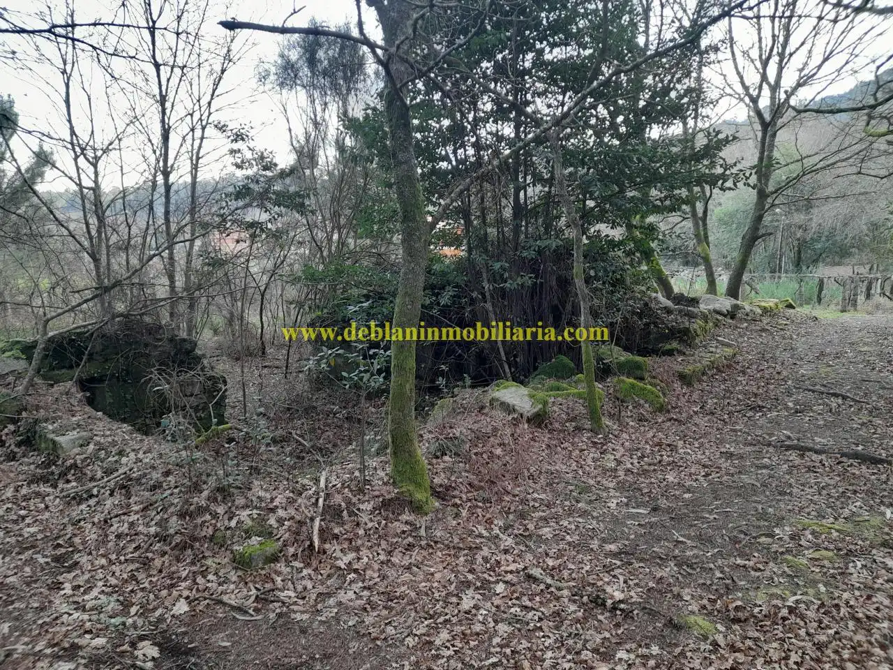 Terreno residencial en venta en Cotarel - Ribadelouro, imagen 12