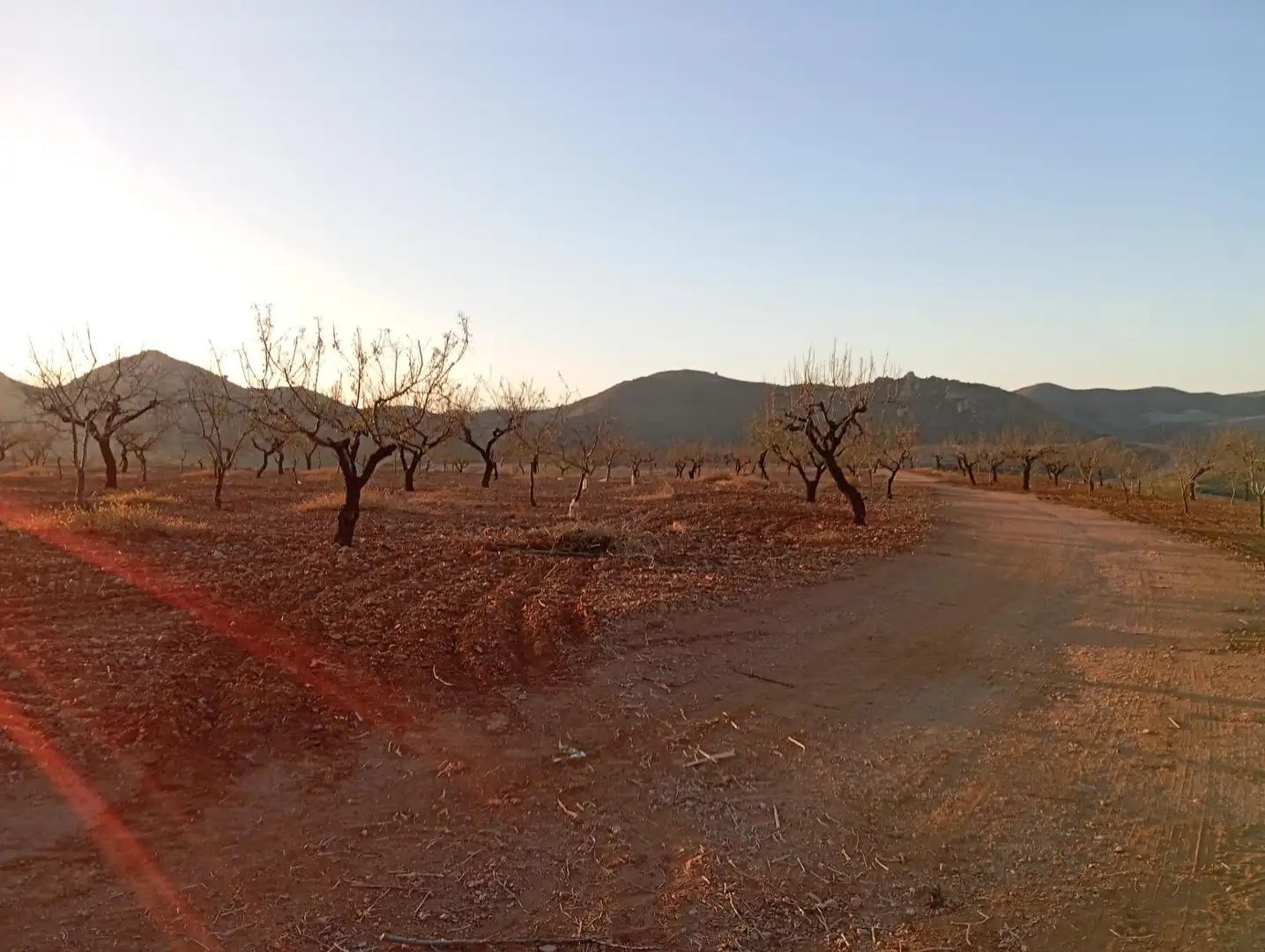 Houses for sale in Bejar