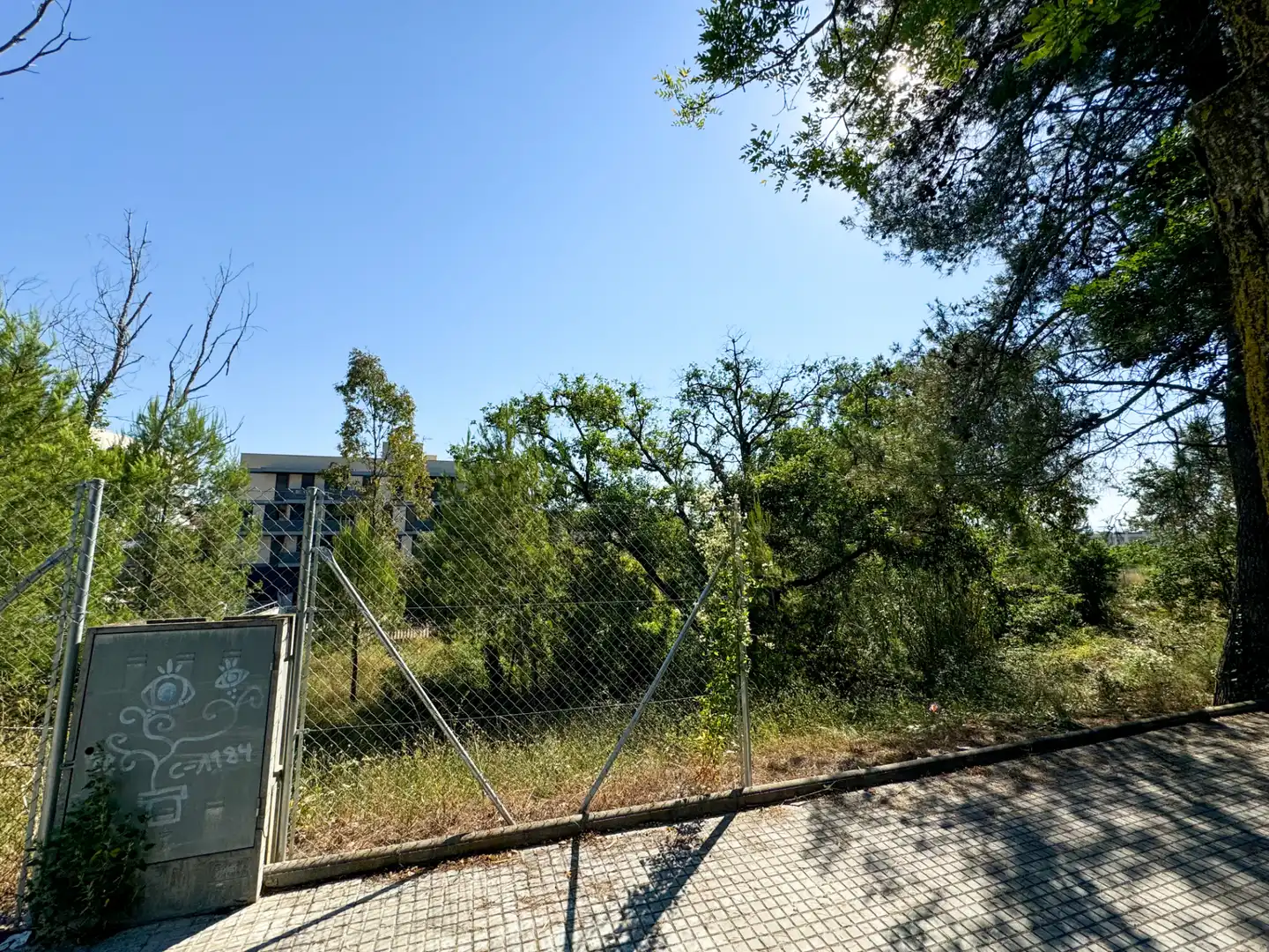 Terreno residencial en venta en Carrer de les Repassadores 7, imagen 7