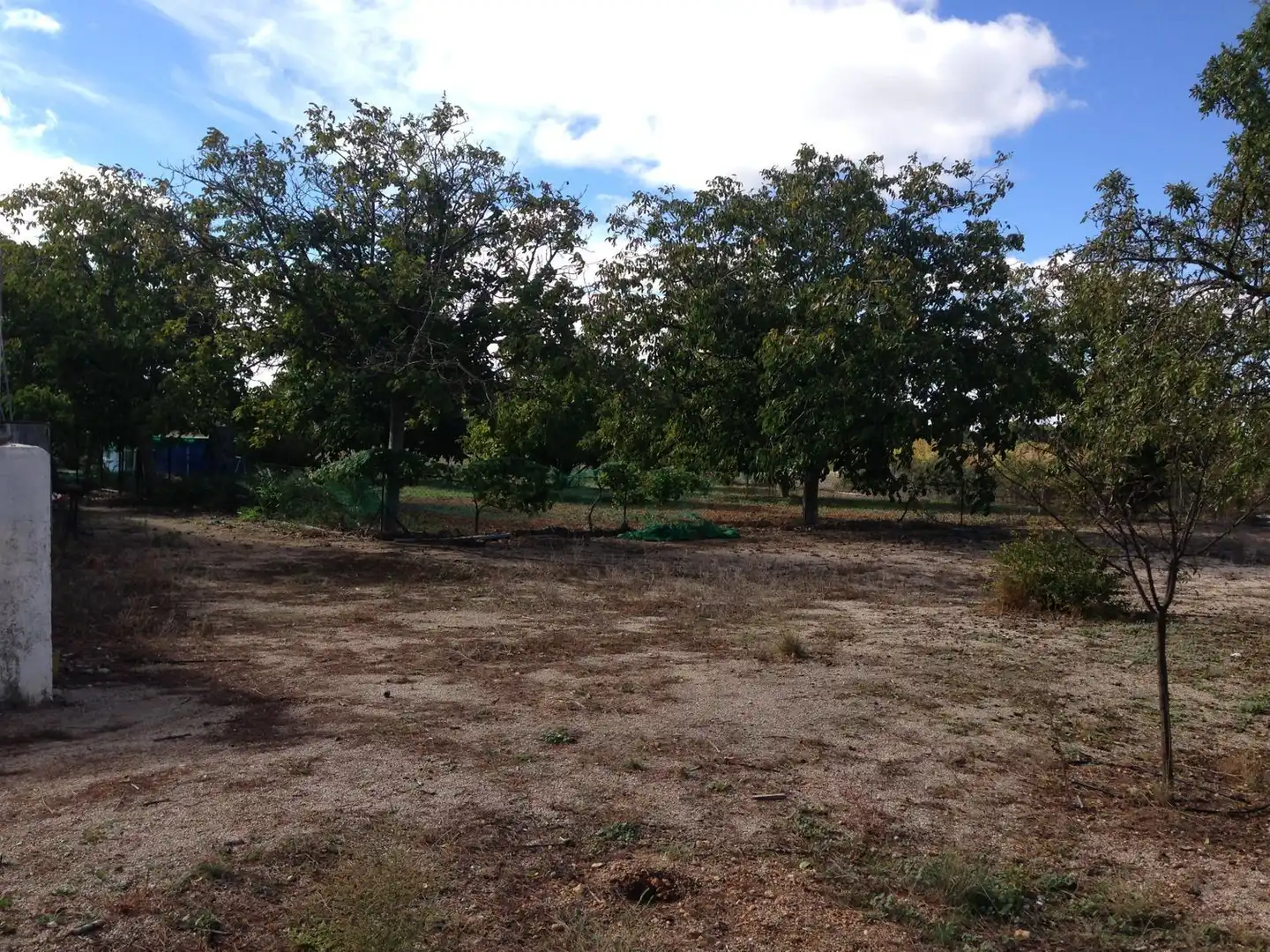 Chalet con piscina en venta en Pedanías - Extrarradio, imagen 4