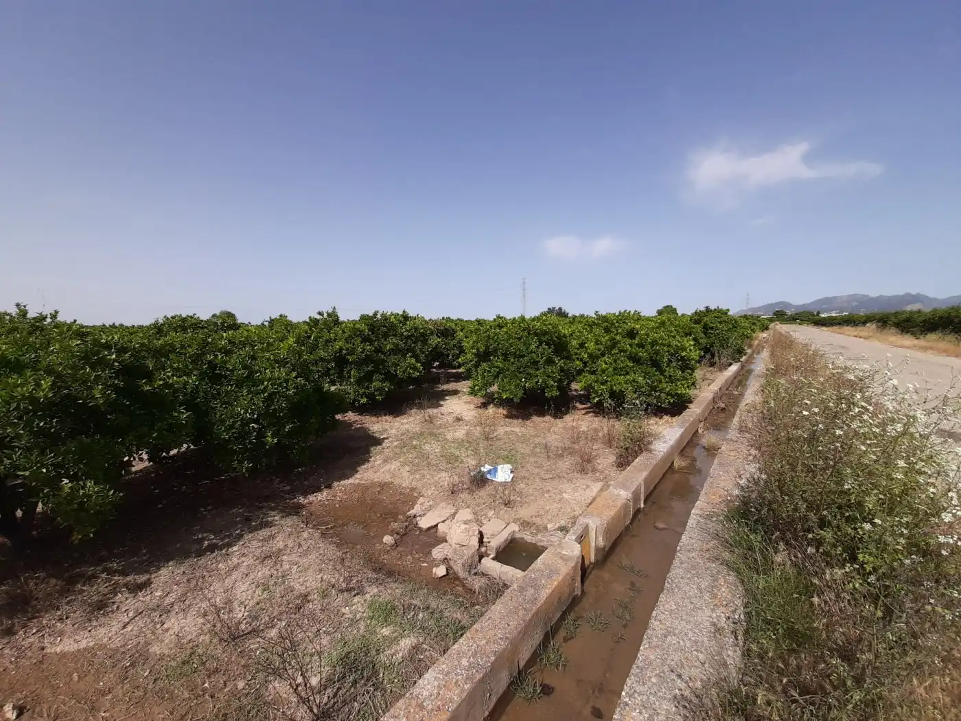 Terreny rústic en venda a Urbanitzacions i Pedanies Nord, imagen 11