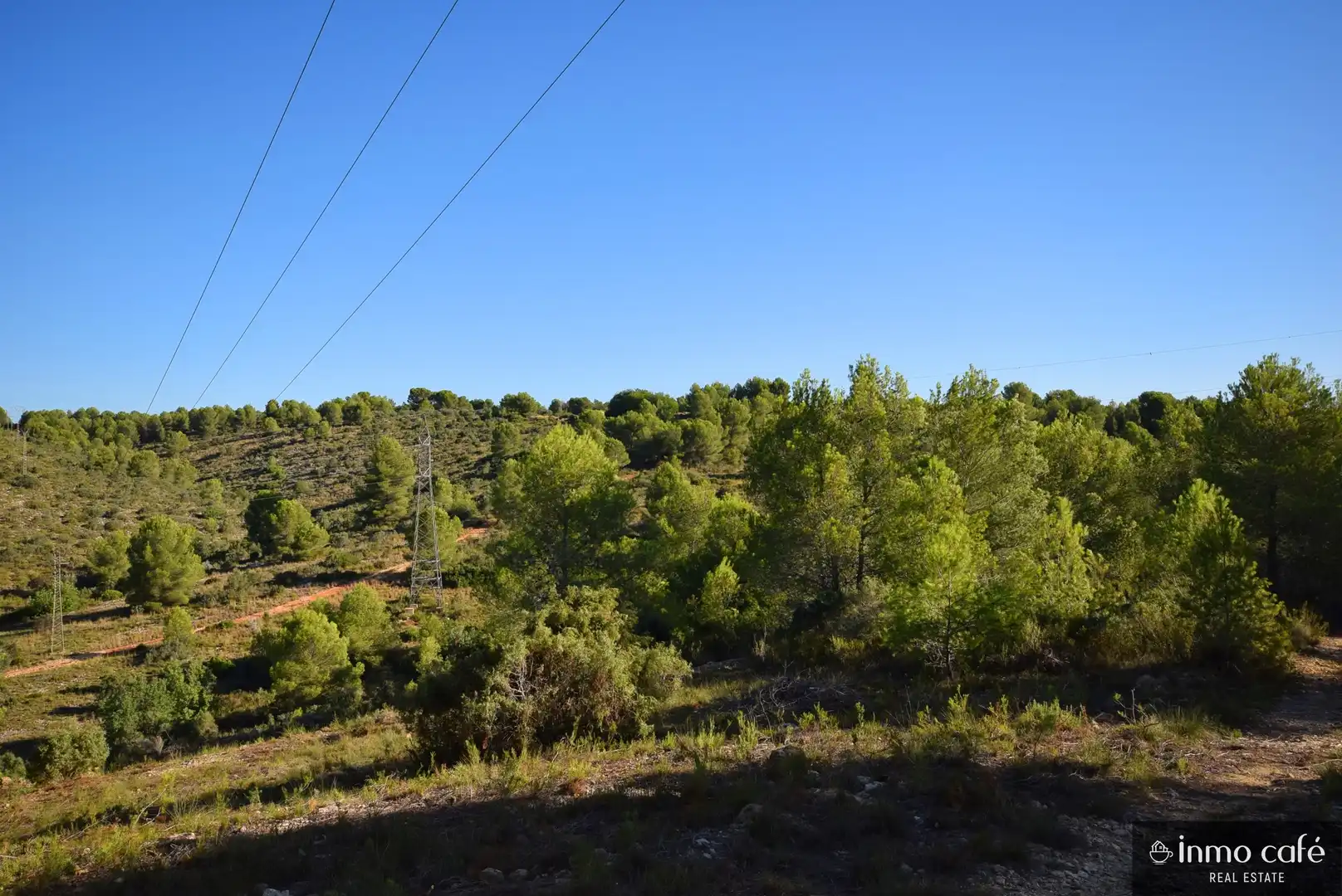 Terreny rústic en venda a L'Alcúdia de Crespins, imagen 19