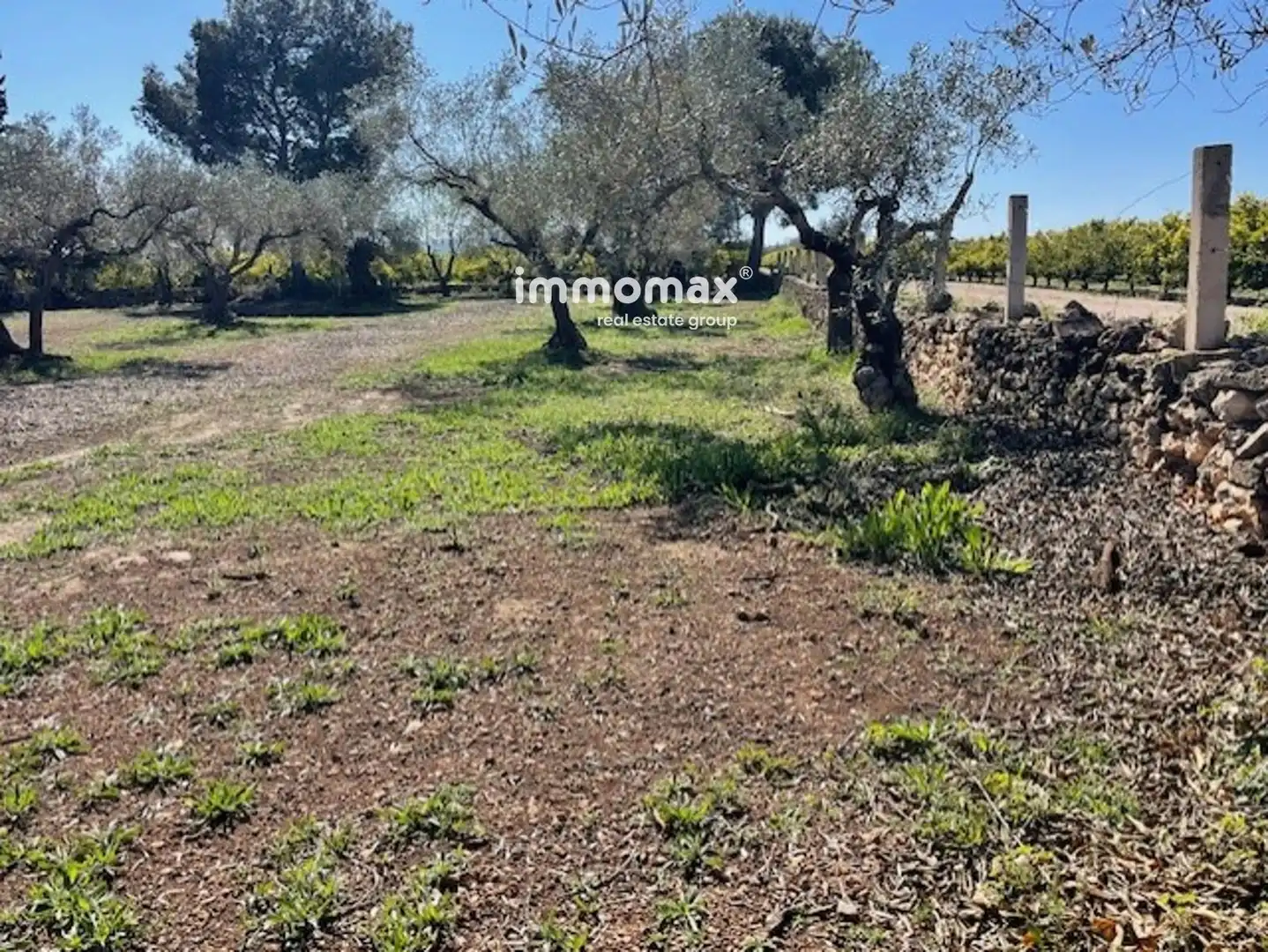 Terrain rustique à vendre à Roquetes, imagen 32