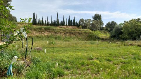 finca rustica, immagine 2