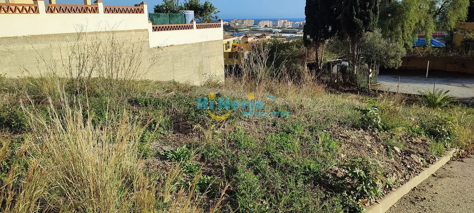 Terreni e lotti in vendita a El Peñoncillo, imagen 2