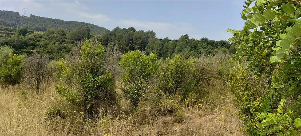 Residencial en venta en Estubeny