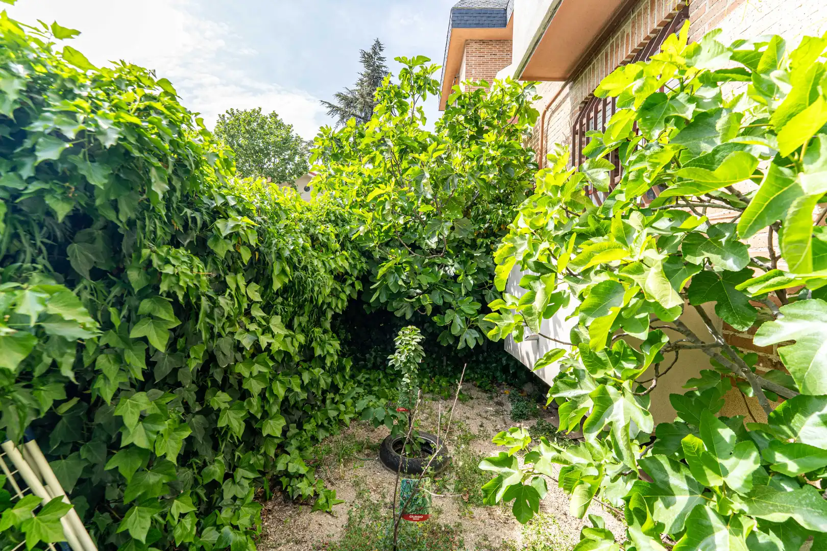 Jardín de Planta baja en venta en Torrelodones con Calefacción, Jardín privado y Parquet