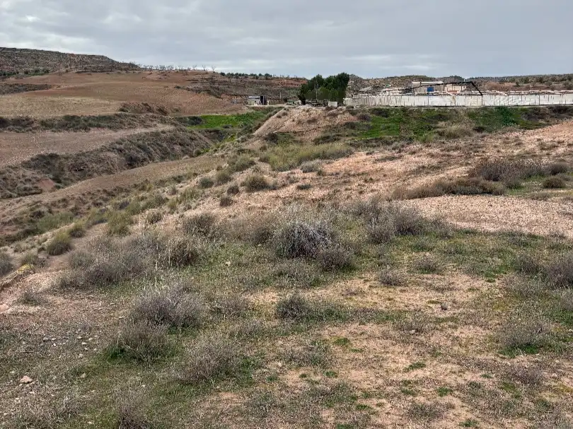 Terreno rustico in vendita a Carretera de Freila 190, imagen 6