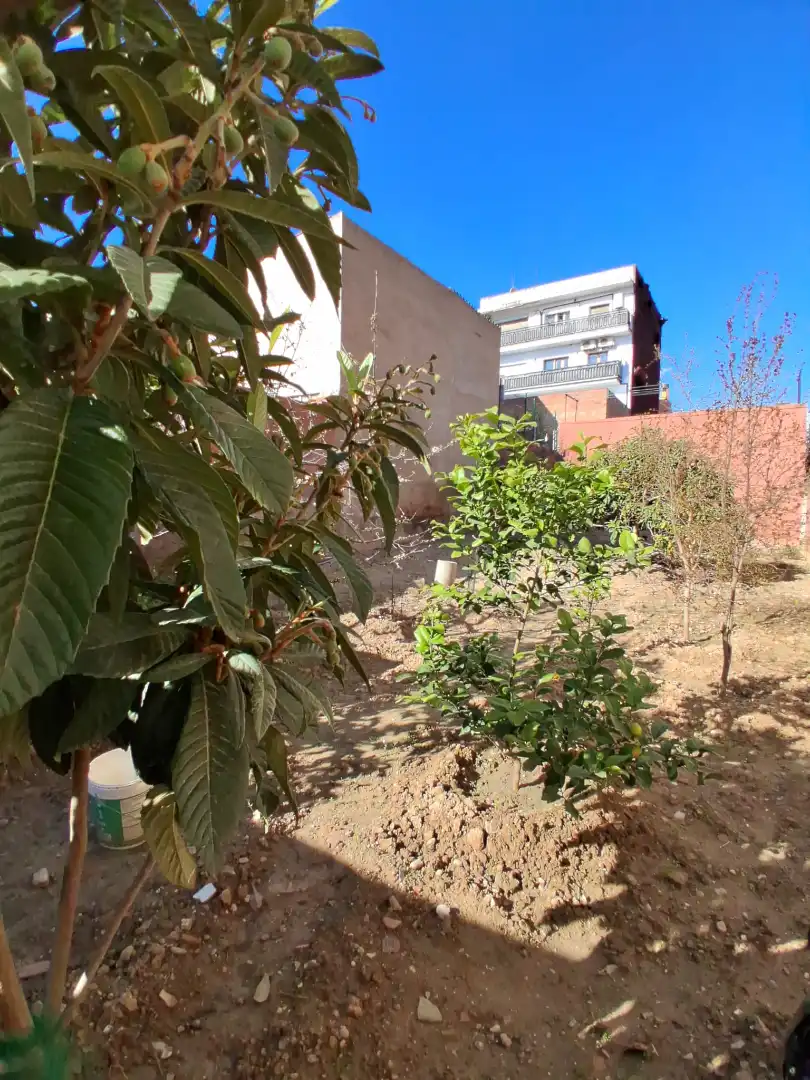 Terreny residencial en venda a Ca n'Oriol, imagen 4