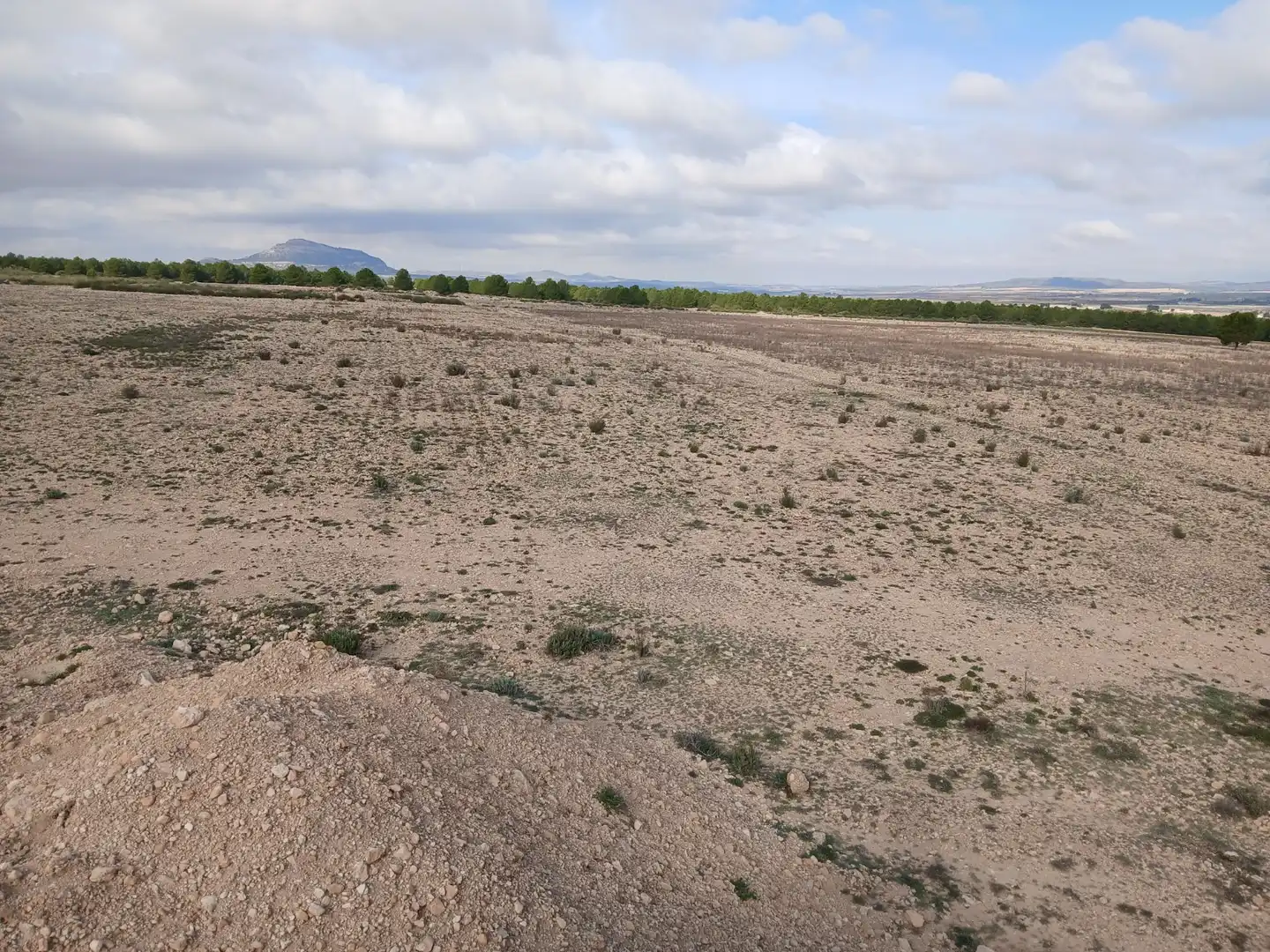 Residential land for sale in Yecla, imagen 32