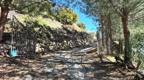 Foto 2 de Finca rústica en venta en Cuesta Benamayor , Cómpeta, Málaga