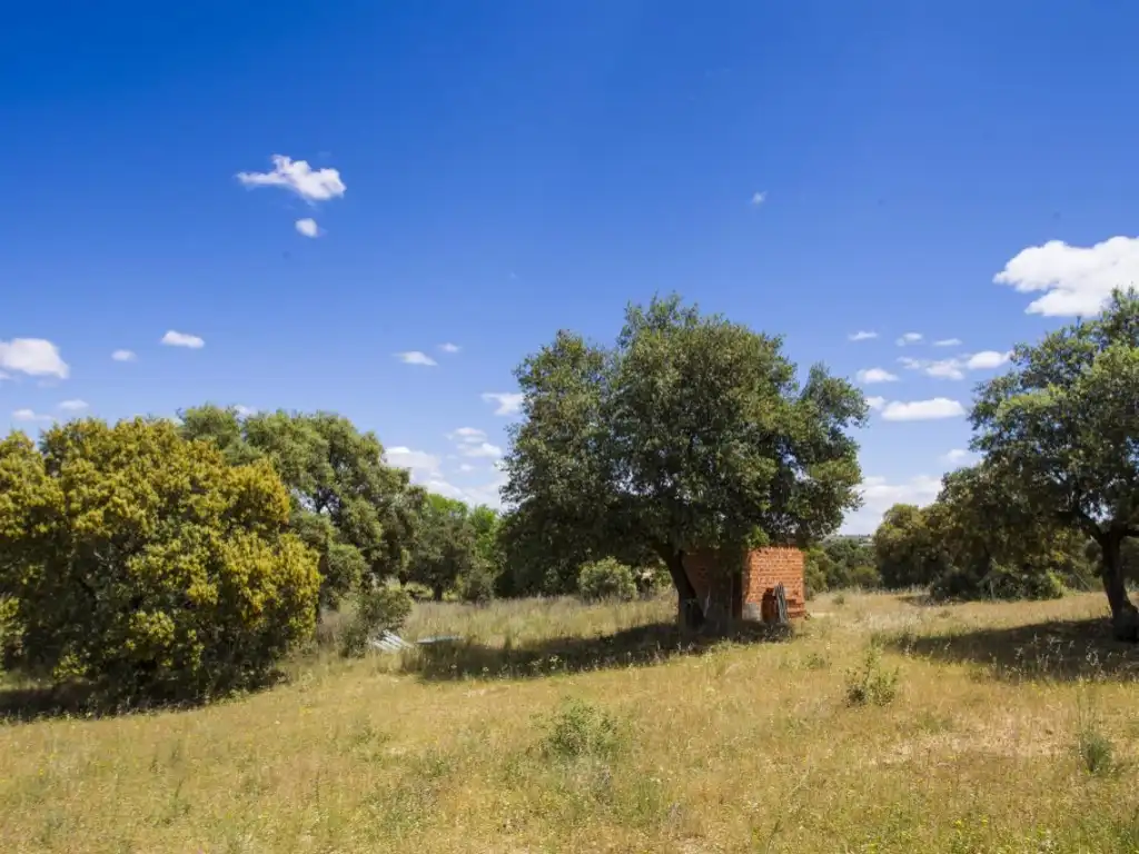 Finca rústica en venda en Navalcarnero