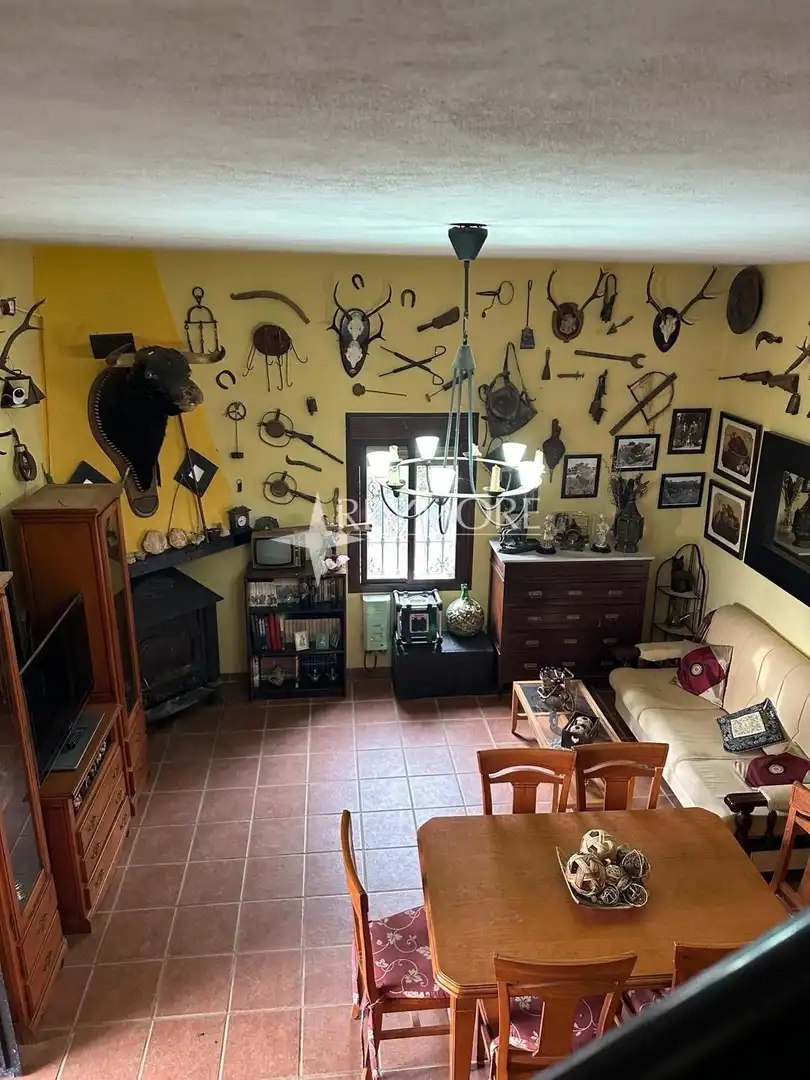Sala de estar de Finca rústica en venta en La Puebla de los Infantes con Aire acondicionado, Calefacción y Jardín privado