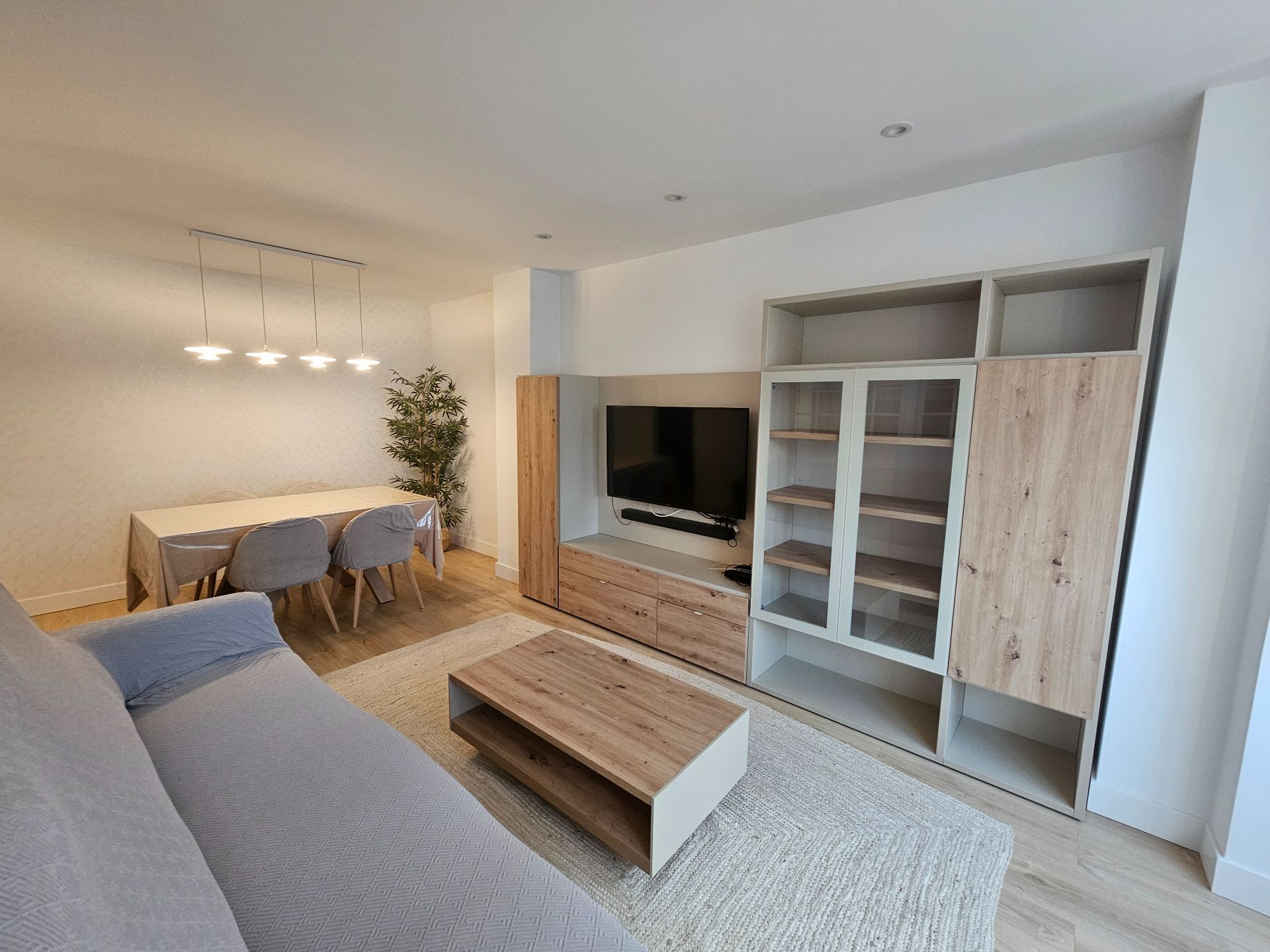 Living room of Flat to rent in  Madrid Capital  with Air Conditioner, Heating and Terrace