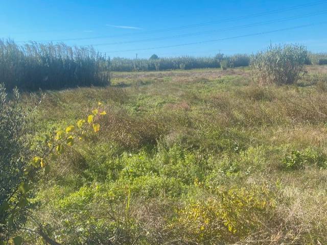 Terreno en Venta en Camí De La Canonja A Vila-seca, 12 en Migjorn